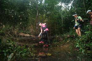 BIB: 
                            <button type="button" onclick="openModal(22531846)" class="btn btn-primary btn-sm float-right btn-popup" data-toggle="modal" data-target=".modal-high-quality">
                        <i class="fas fa-shopping-cart"></i> Add to Cart
                    </button>
                                            <button type="button" onclick="isThisMe(22531846, true)" class="btn btn-success btn-sm float-right btn-popup btn-isme hidden" data-toggle="tooltip" data-placement="bottom" title="นี่คือรูปของคุณใช่ไหม คลิกที่นี่เพื่อเอาเข้าอัลบั้ม">
                        <i class="fas fa-plus"></i> Add to album
                    </button>
                    <button type="button" onclick="isThisMe(22531846, false)" class="btn btn-warning btn-sm float-right btn-popup btn-isnotme hidden">
                        <i class="fas fa-ban"></i> Remove from album
                    </button>